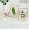 Fabulaxe Modern Metal Floating Tabletop Photo Picture Frame with Glass Cover and Easel Stand, Gold 4 x 6 QI004066.GD.M - alternate 5